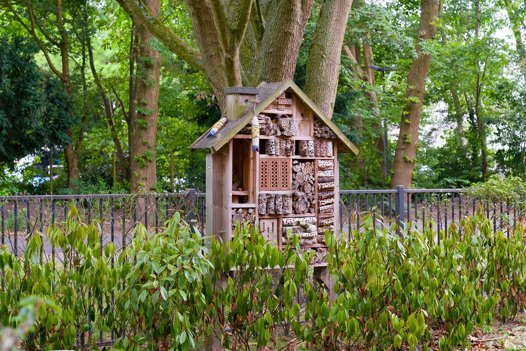 NLD - Delft. Fotografie voor Kijk Duurzaam bij GGZ Delfland. Foto: Viditour.