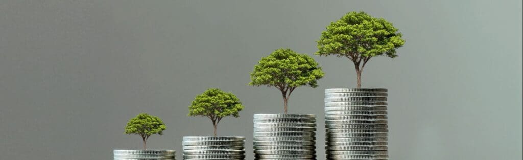 4 oplopende stapeltjes munten met op elk stapeltje een boom