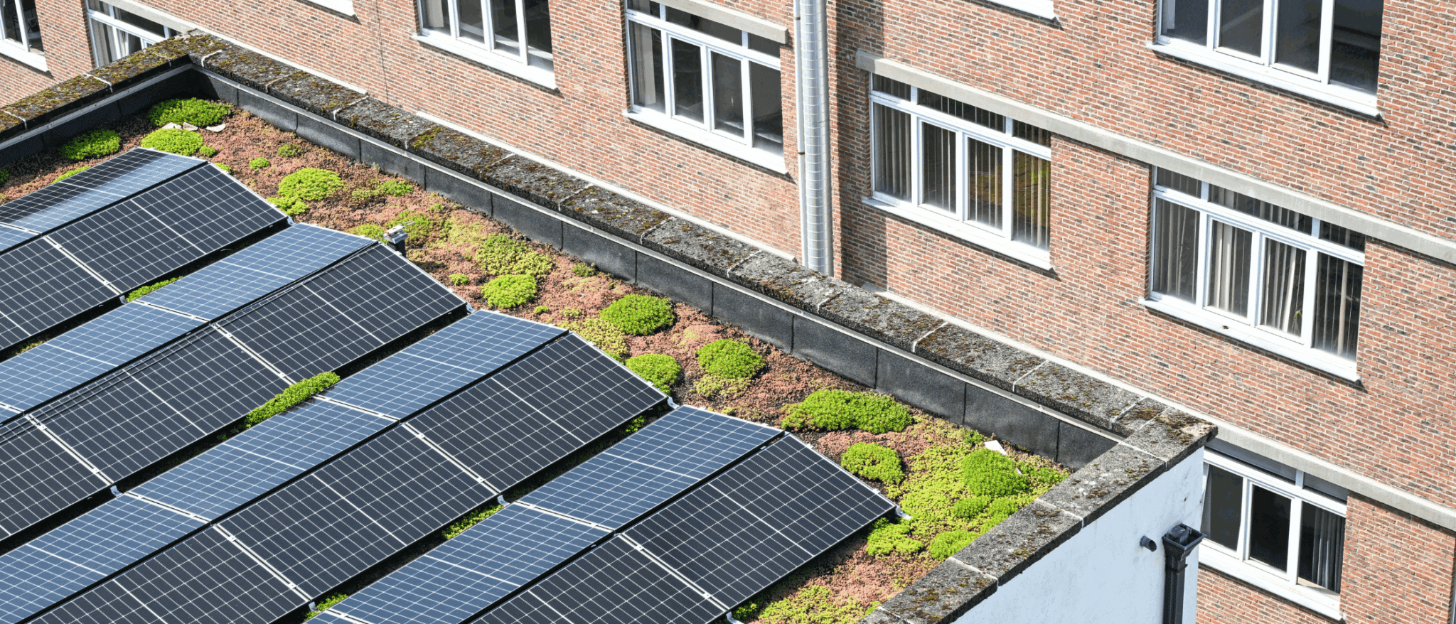 Dak voorzien van zonnepanelen.