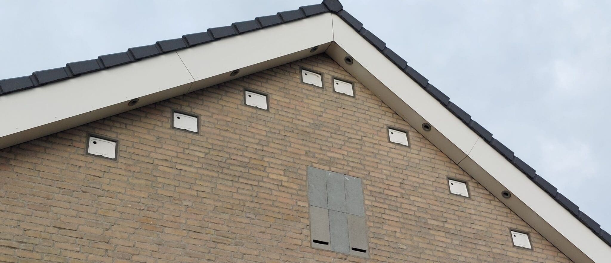 Bovenste gedeelte van zijgevel huis van onderaf gezien, met daarin witte vierkantje langs de schuine randen