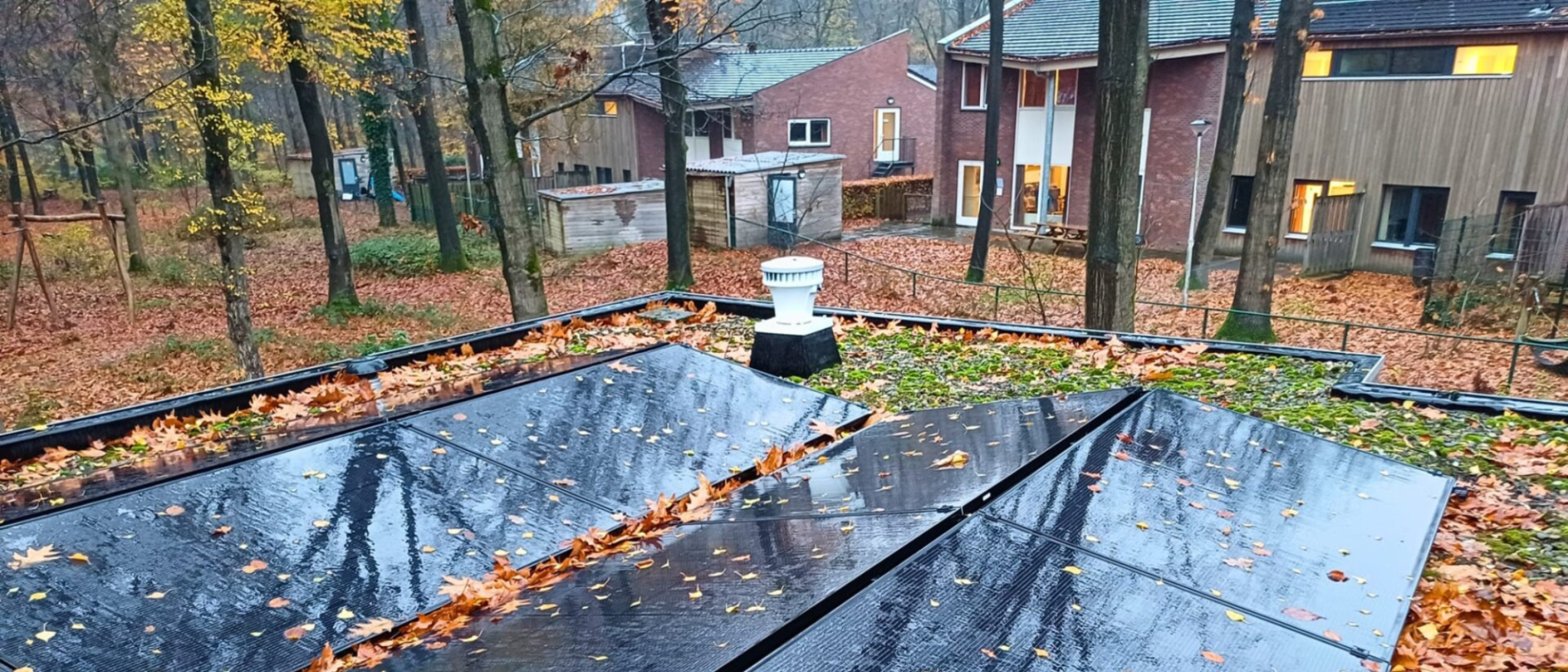 11:15Claude responded: Zonnepanelen op een plat dak, bedekt met gevallen herfstbladeren, met op de achtergrond zorggebouwen in een bosrijke omgeving.Zonnepanelen op een plat dak, bedekt met gevallen herfstbladeren, met op de achtergrond zorggebouwen in een bosrijke omgeving.